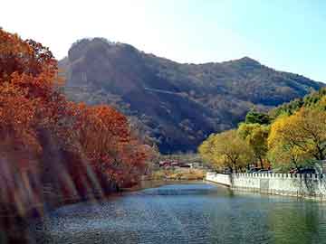 天天彩好彩天天免费，鸽子养殖前景